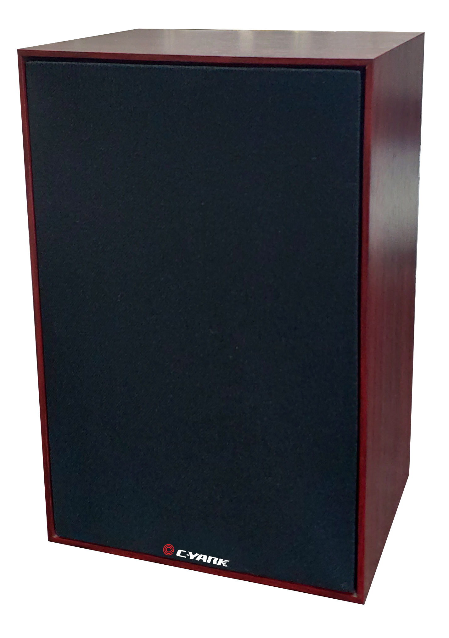 CY-IP1201F IP音箱